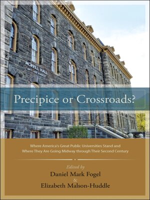 cover image of Precipice or Crossroads?